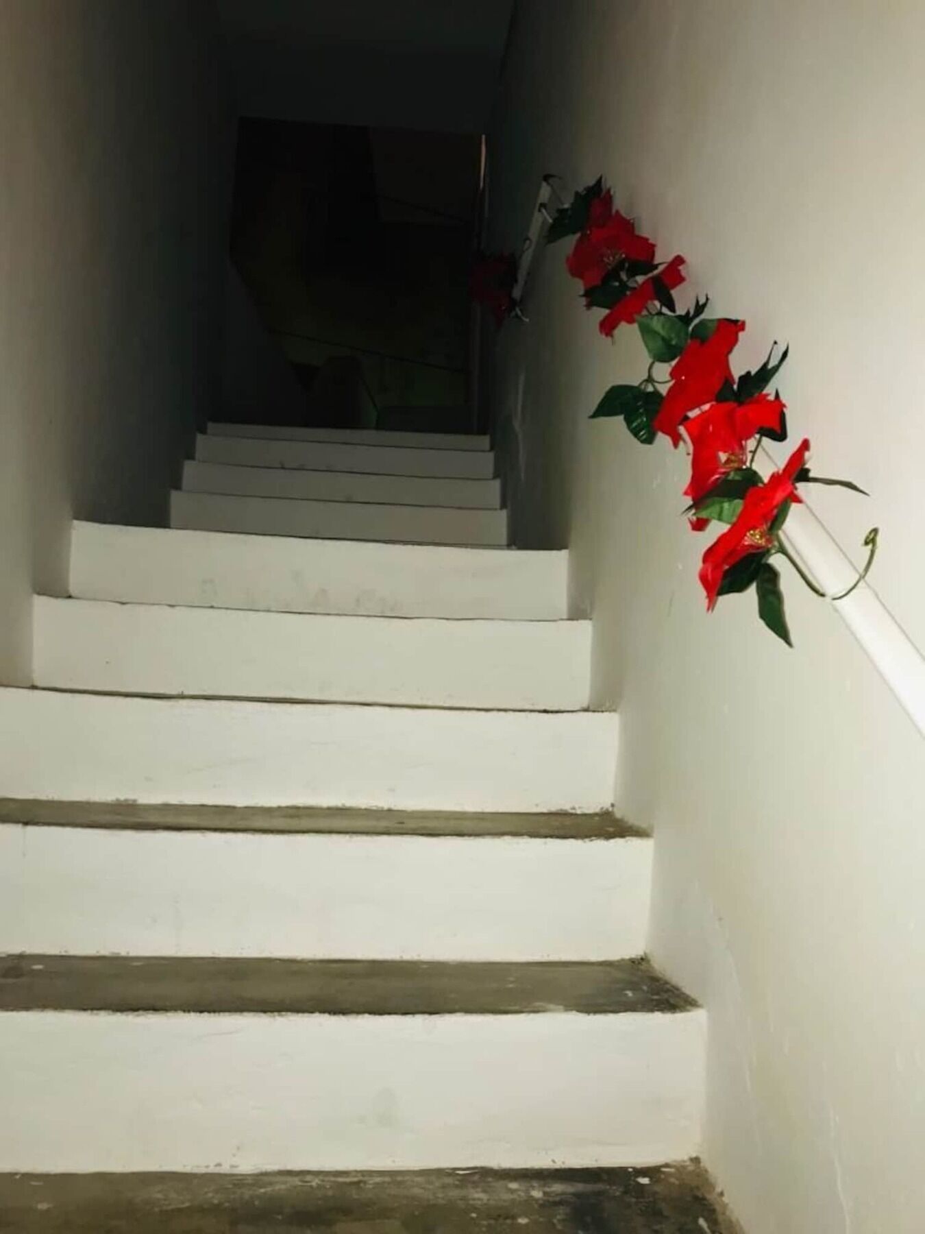 Le Stanze Di Mavi Bed and Breakfast Gravina in Puglia Eksteriør billede